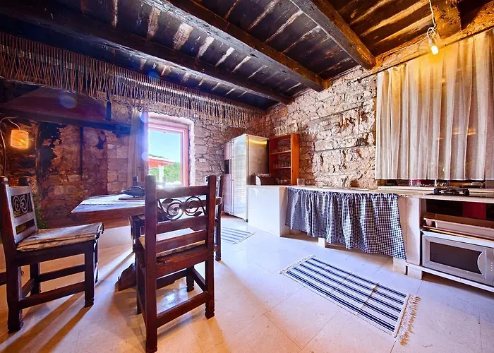 فيلة Silente Okljucna