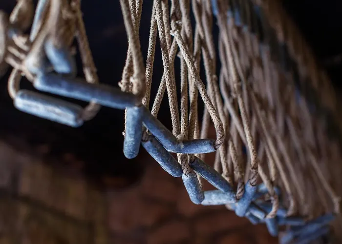 Silente فيلة Okljucna